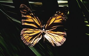 清水河縣機械設備有限責任公司